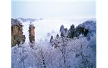 春節(jié)旅游：張家界、袁家界、天子山、寶峰湖/黃龍洞度假二晚三日游